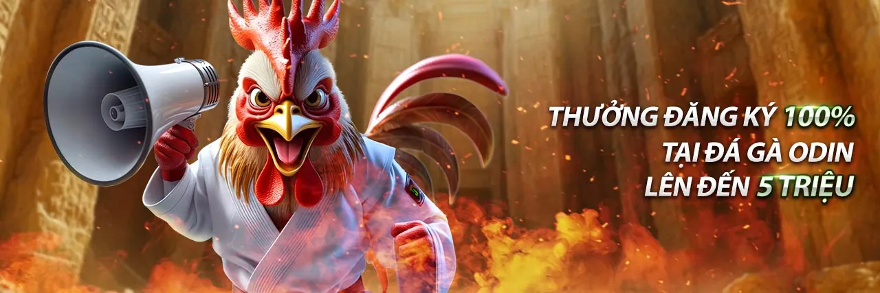 Sân chơi casino trực tuyến Win2026 với hình ảnh đá gà thôm sôi động