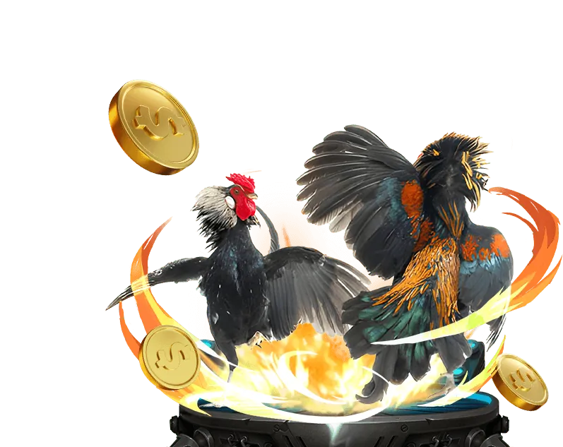 Trực tiếp đá gà thôm tại Win2026