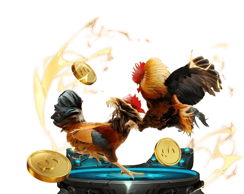 Trải nghiệm đá gà thôm trên di động